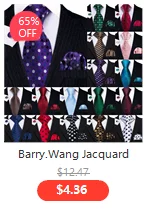 Barry.Wang Neuheit Seide Männer Krawatte Taschentuch Manschettenknöpfe Set Jacquard Tier Dinosaurier Fledermaus Gravat Krawatte Für Männliche Hochzeit Business – Detail 5