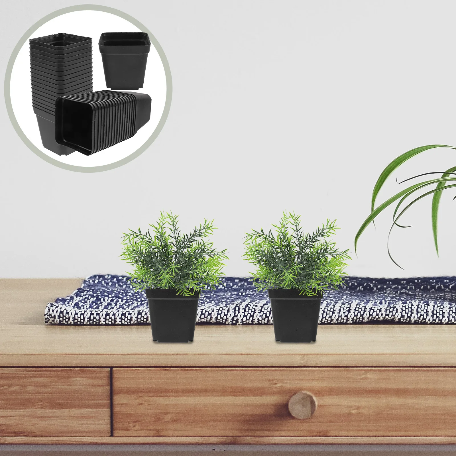 

100Pcs Plastic Small Square Succulent Flowerpots Planters Nursery Pot Black Drainage Holes Prevent Root Rot Succulent Pots