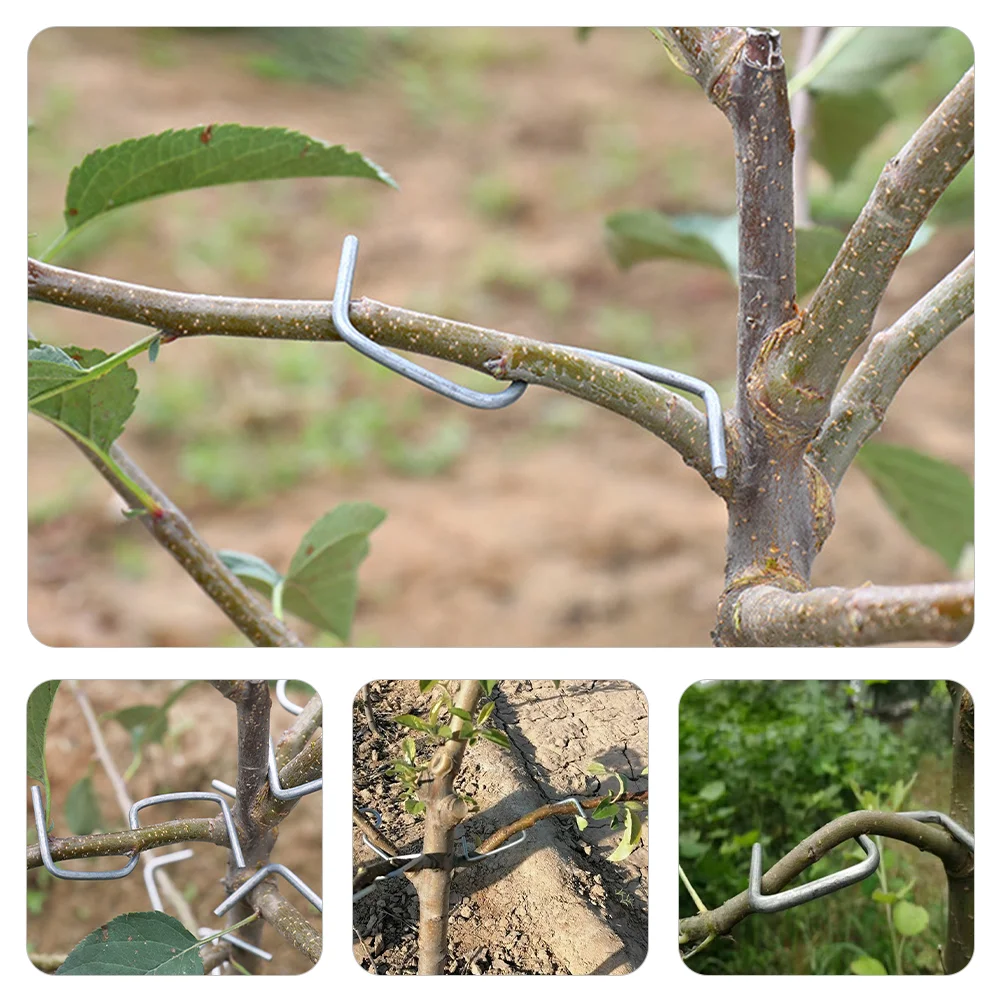 Wire Ties Fruit Tree Branch Shaper Branches Bending Clips Spreader Stem Trainer Bonsai Clamps Gardening Shaping Tool