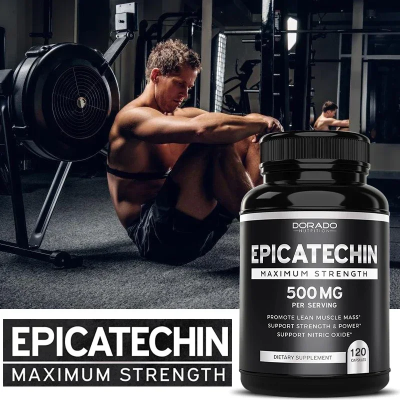 Epicatechin Capsules 500 Mg Per Serving - (120 Capsules) - Supports Lean Muscle, Nitric Oxide, Carnosine Inhibitors, Endurance