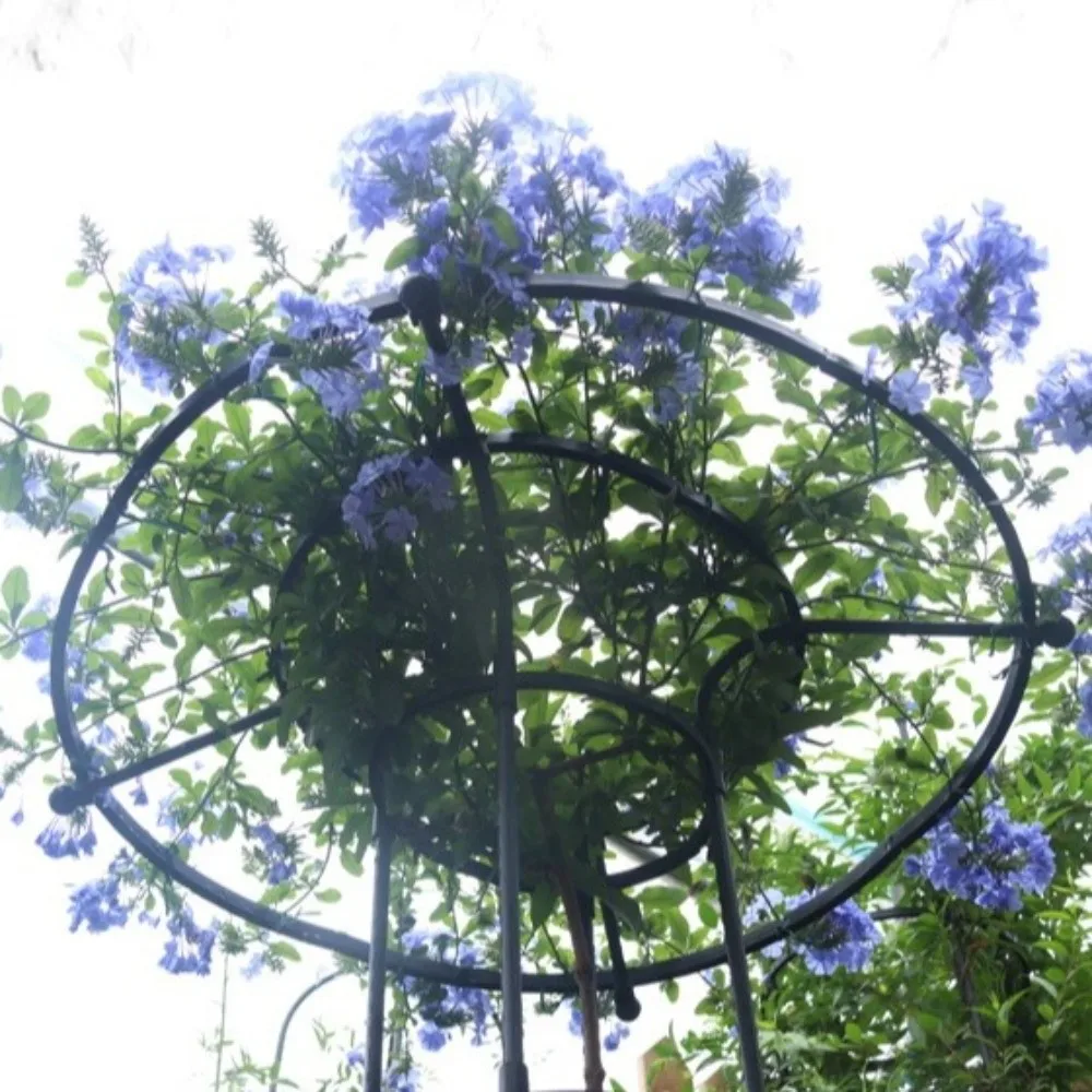 90/120/150cm Climbing Rose Arch Rustproof Sturdy Plant Frame DIY Assemble Decorative Climbing Plant Support