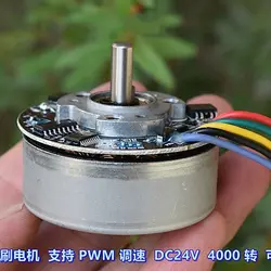 Mini 48mm BL4825O 12V 14.4V 24V 4000RPM BLDC fırçasız Motor yüksek tork geri dönüşümlü PWM hız ayarı fasial silah için