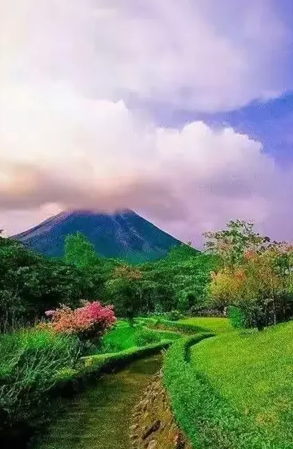 

r - Brushless/Brushed, Mini Off-road Rock Climbing, RTR Toys