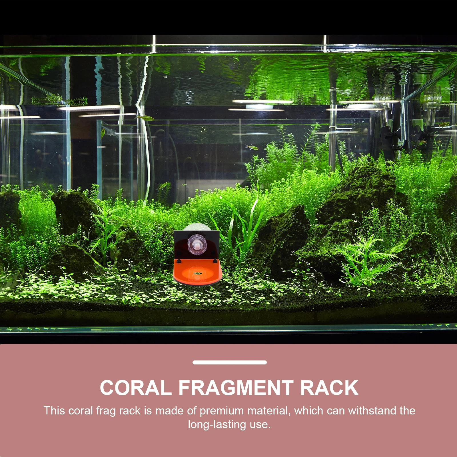

4 Pcs Coral Racks Fluorescent Holders Fish Tank Aquarium Supplies Hard Coral Soft Bone Breeding Base Supports