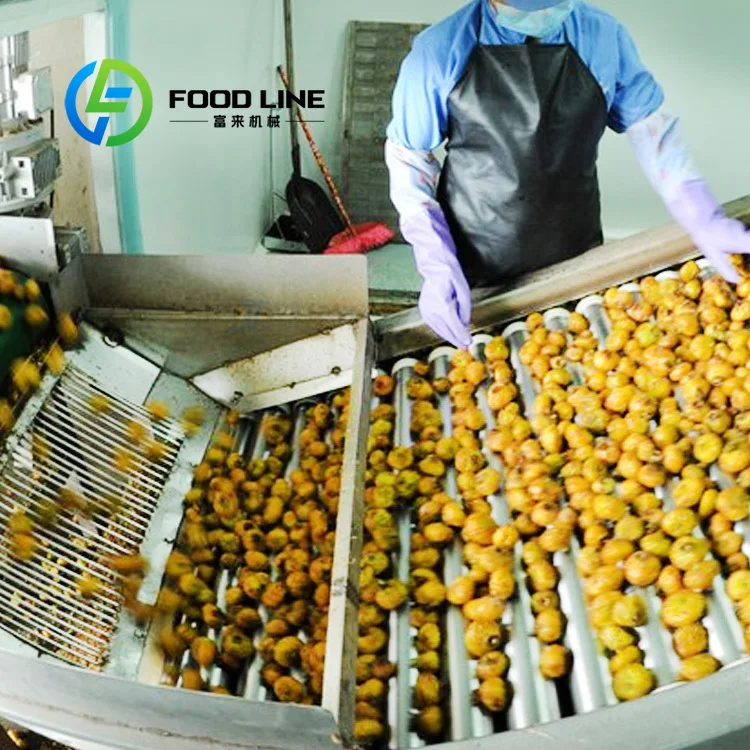 High Yield Apple Juice Production Line Advanced Juicing Technology To Improve Raw Apple Utilization And Final Drink Output