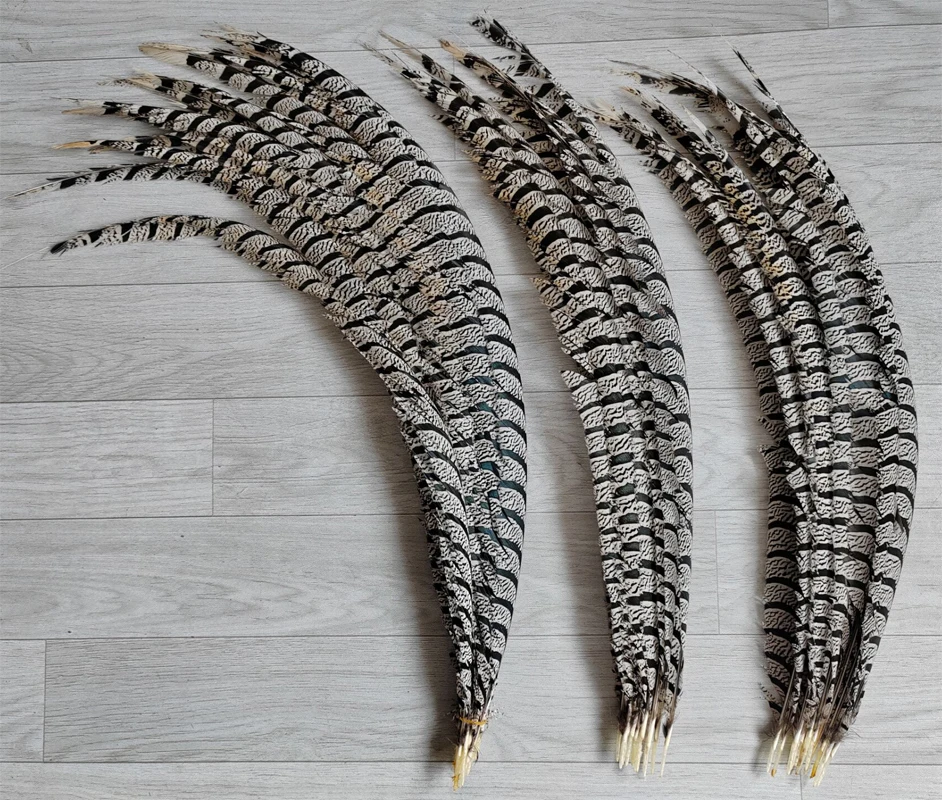

10Pc 70-100cm Natural Lady Amherst Pheasant Center Tail Feathers for Crafts,Decorative Diy Stage Performance,Carnaval