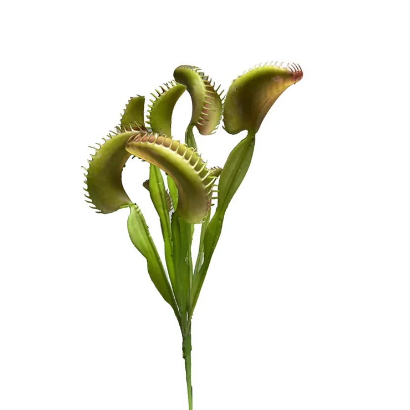 1 sprig 36cm green artificial Venus flytrap decorated with a fake succulent for a home garden party in a Nordic style