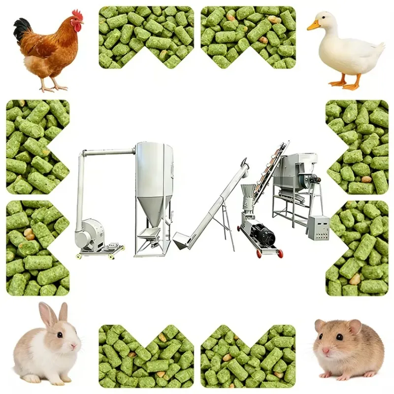 Customizable Poultry Farm Feed Pellet Line Automatic Feeding System 1-3 Ton/h for Chicken Duck Goose
