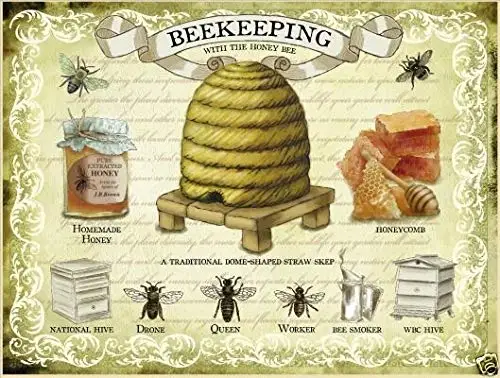 

Beekeeping Bees Theme Metal Tin Sign 8x12 Inches Retro Wall Decor Sign Bar Dining Room Living Room Kitchen Garage