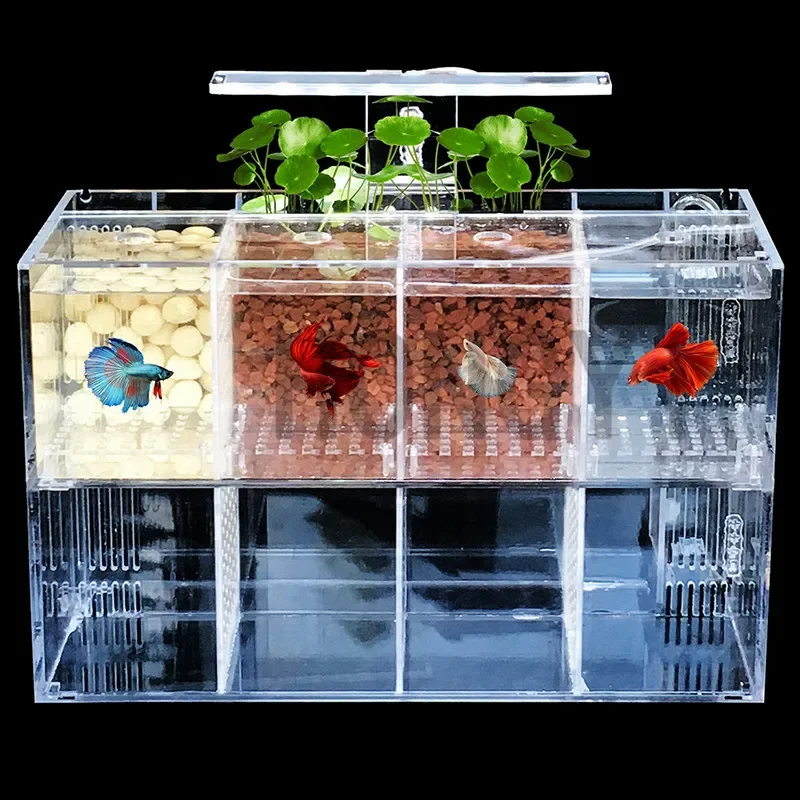 HONGYI 1 piece acrylic bettas cylinder isolated fish tank tilted water pump breeding cylinder baby betta tank guppy breeding