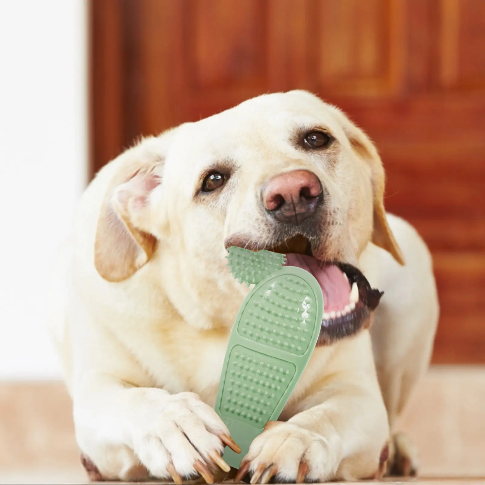 Cactus Dog Chew Toy Durable TPR Teeth Cleaning Toy Supports Natural Instincts Reduces Destructive Chewing