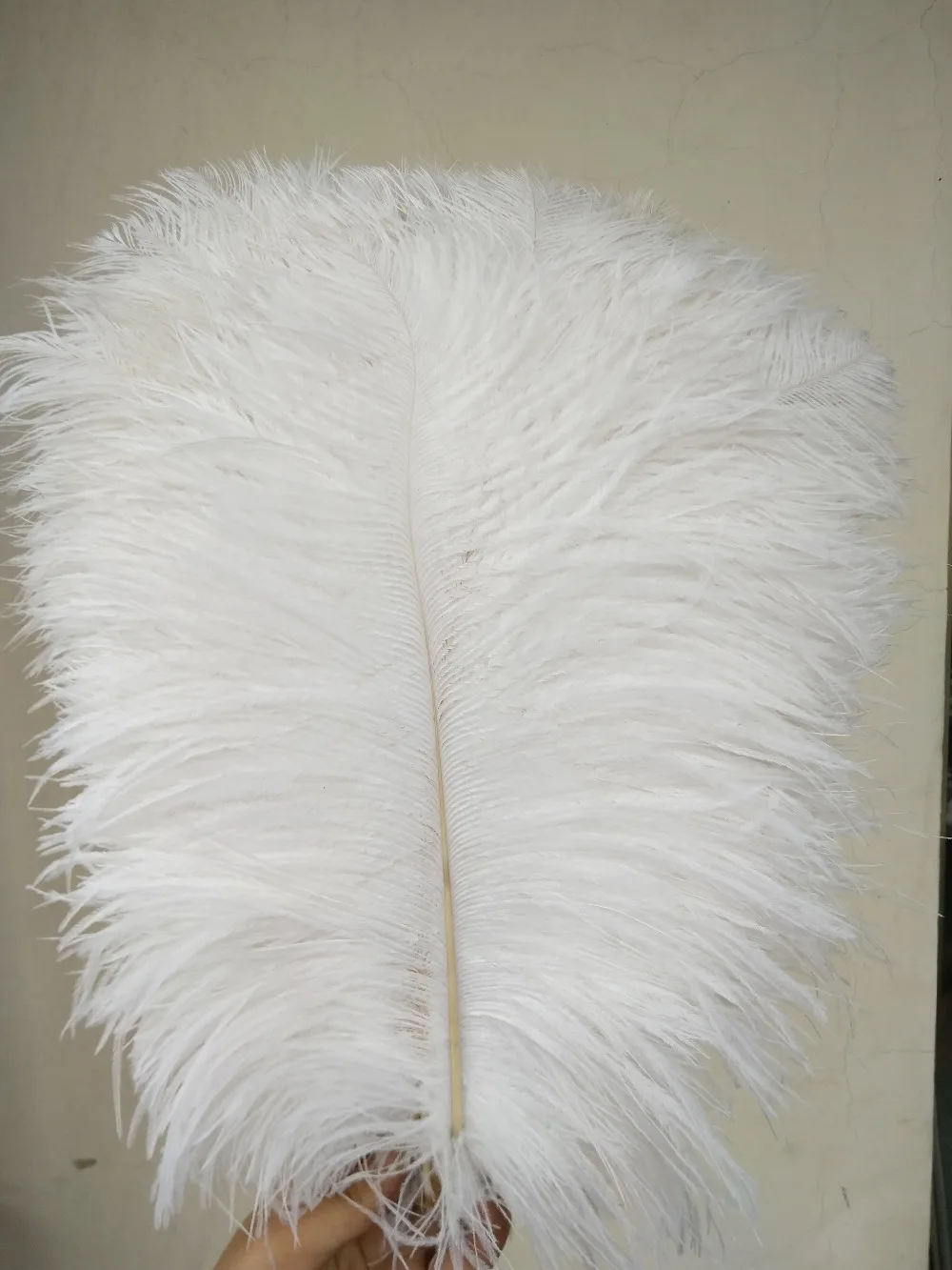 

China ZP factory 45 ~ 50 cm (18 ~ 20 inches) long 100 / batch white large ostrich feathers wedding decoration