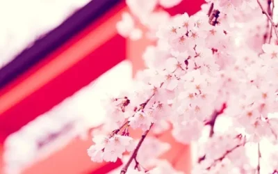 

Blue RC Parts Electric Car brushless Motor Heatsink Cover + Cooling Fan for 1:10 HSP RC Car 540 550 3650 Size Motor Heat Sink