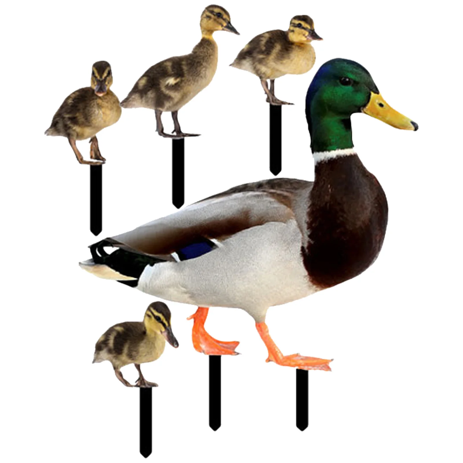 

1 Set Of Duck Decoration Stake Acrylic Garden Ornament Lawn Decor Yard Art Outdoor Adornment Animal Shape Stake Garden Accessory