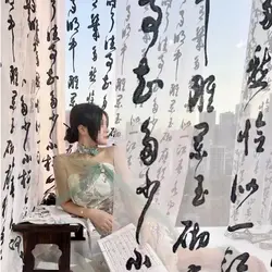 New Chinese Calligraphy Text Ancient Partition Gauze Curtain for Living Room Study Calligraphy Painting Poetry Tea Room Shooting