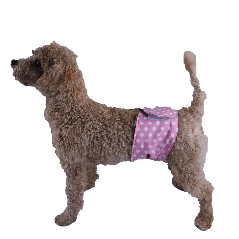 Dog Physiological Pants Adjustable Leakproof Male Puppy Belly Band Diapers Fast Absorption Cartoon Pattern Dogs Sanitary Pants