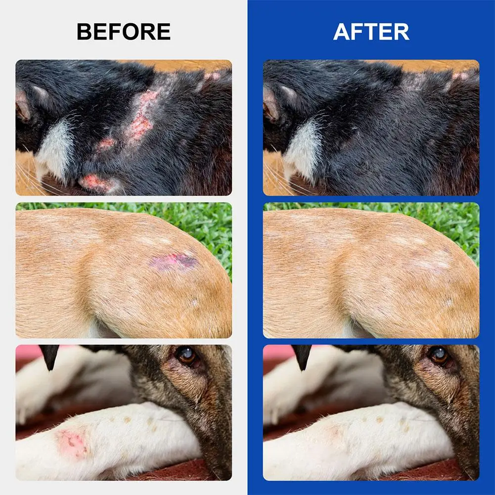 Pet Wound Spray Dog And Skin Rash Moss Scratch Blocking Treatment Repair Wound Liquid W4r0