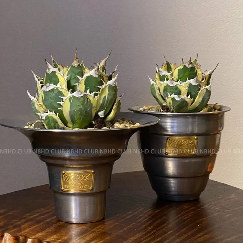Maceta Metálica para Agave Xerophyte, Suculenta Caudex, Hecha a Mano, Inspirada en Kimura Takuya, Estilo Sencillo y Elegante, Resistente