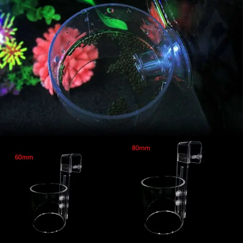 LXAF Betta Feeding Ring Clear Acrylic Cylinder Floating Feed Circle Reduce Waste & Maintain Water Quality Suitable for Flakes