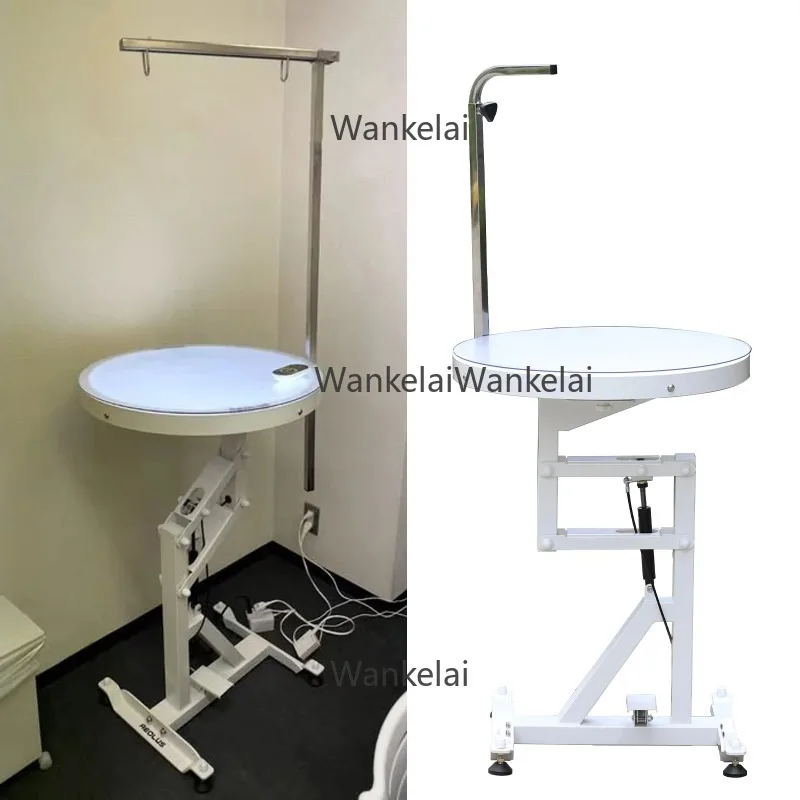 LED Air Lifting Pet Salon Grooming Light New Design Color Temperature Brightness Regulating Adjustment for Pet Care