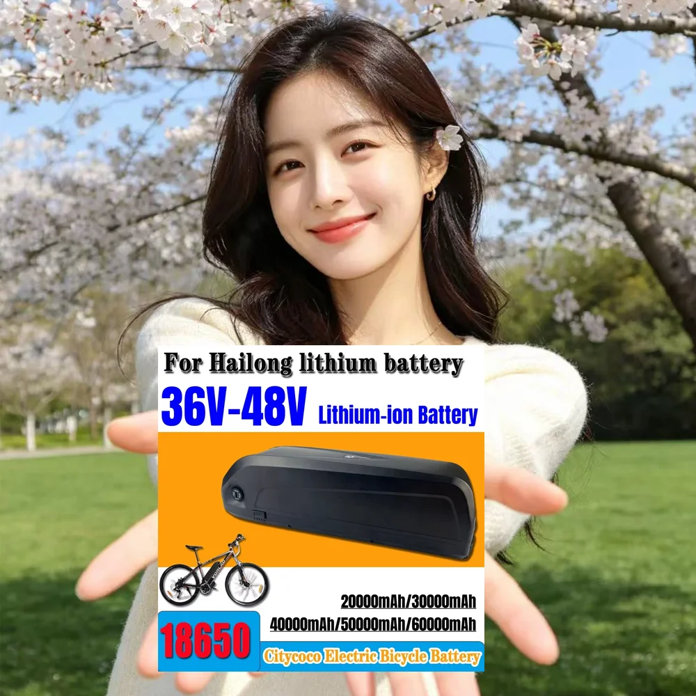 🐍 Hailong 36V 40Ah/48V 50Ah Battery | Suitable for Octagonal BBS02/BBS03 Motors