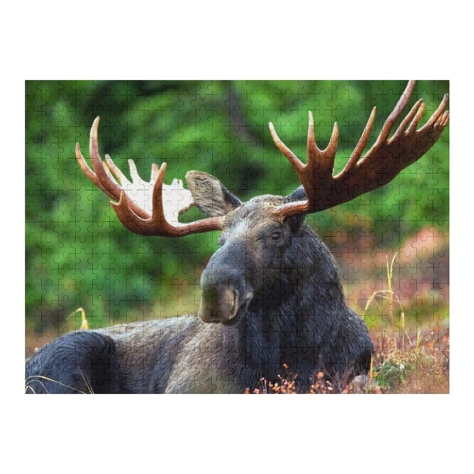 

Resting Moose Jigsaw Puzzle Customizable Child Gift Works Of Art Puzzle