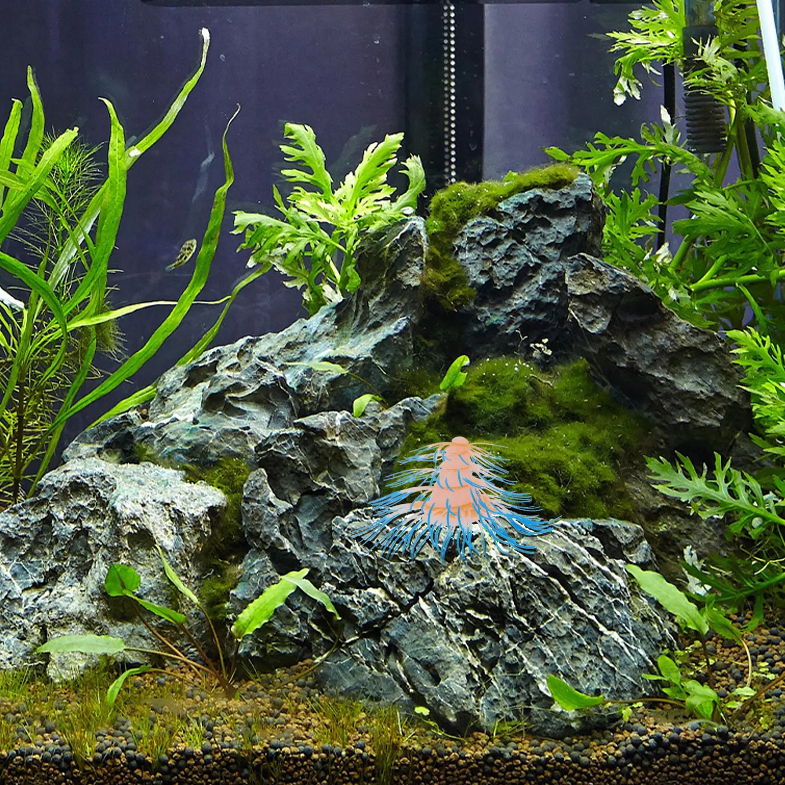 Coraux artificiels pour décora - Aquarium Fish That Glow In The Dark avis et prix
