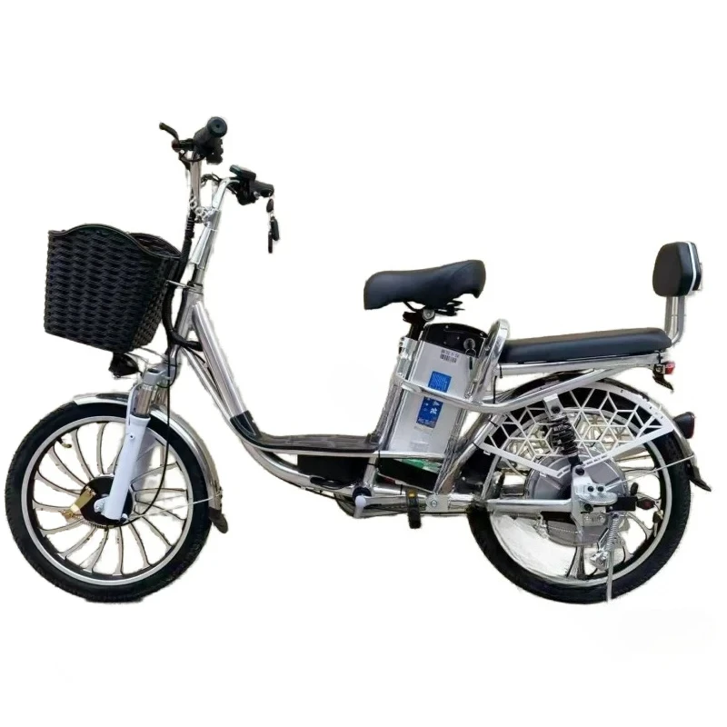 48V Removable Battery 20
