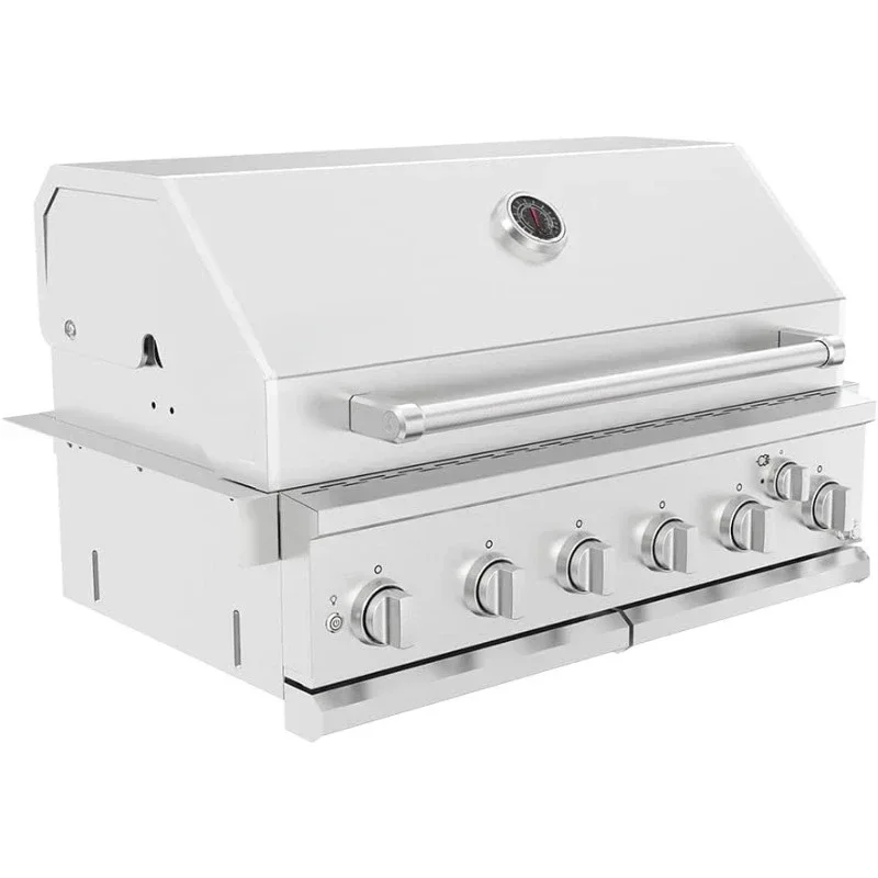 Premium Grill Built-in Head, 6-Burner with Rear Burner Propane Grill, Convertible to Natural Gas