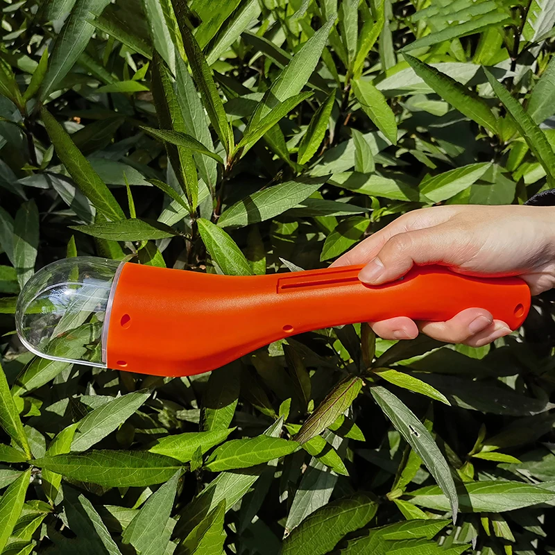 Raccoglitore di insetti trasparente portatile per giocattoli per bambini al coperto e all'aperto, osservazione di insetti di tipo Push per l'esplorazione all'aperto