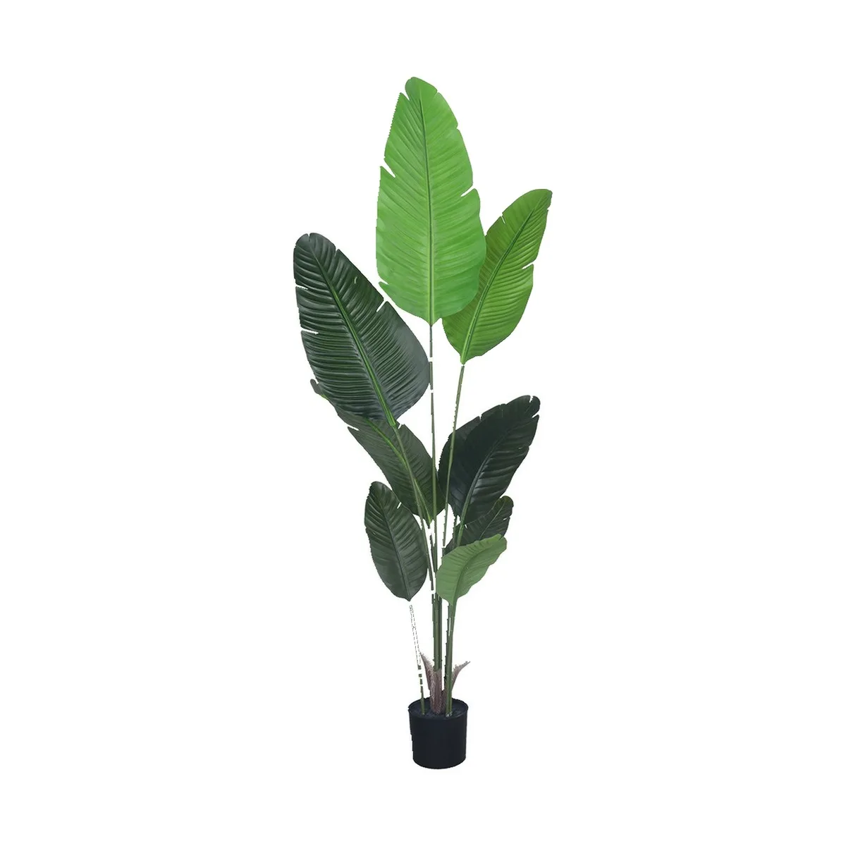 Artificial Traveller Palm 120-200cm Faux Strelitzia Nicolai Bird of Paradise Tree with Pot for Home Party Hotel Shop Stage Decor