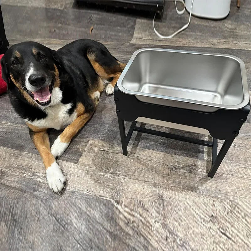 Pet elevated water bowl, medium and large dog stainless steel water bowl, easy to clean and protect the spine