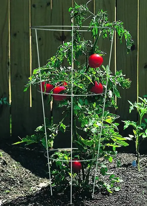 Garden Trellis Cone Tomato Tower Cage,Plant Support Stake for Vertical Climbing Plant