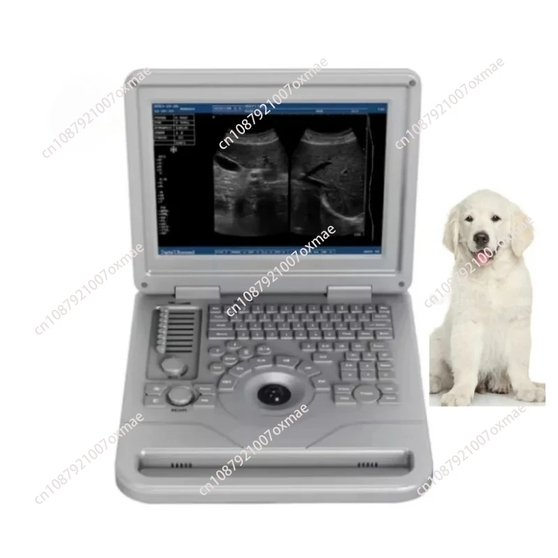

12 Inches High Quality Laptop Ultrasonic Full Digital Ultrasound Machine for Veterinary