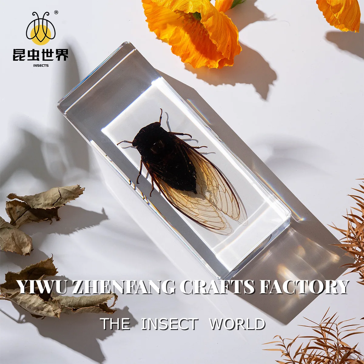 Osmanthus cicada,Artisan Craftwork