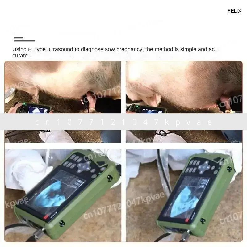 Veterinary B-ultrasound Machine, Sow Pregnancy Testing Machine, Portable Pet Pregnancy Testing Machine S1