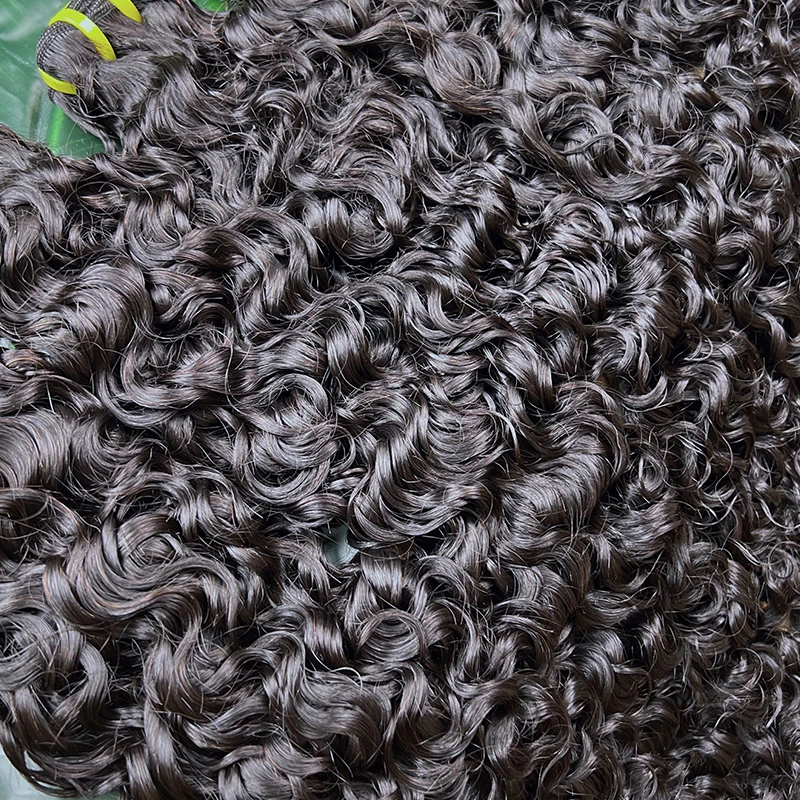 Burmese Curly Raw Virgin Hair Bundles Thick 100% Unprocessed Human Hair Extensions Vietnamese Wavy Bouncy Double Weft Full Head