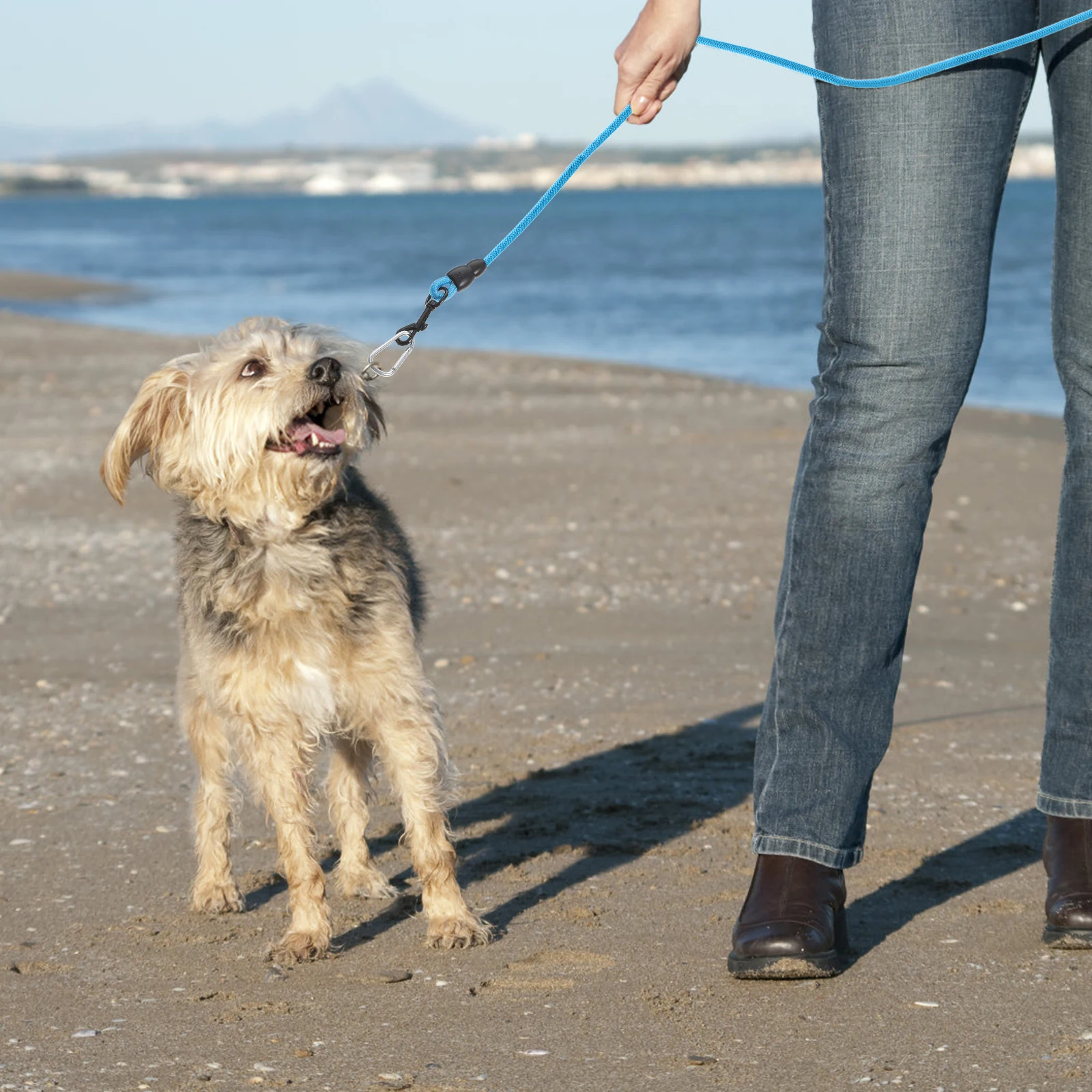 

Extra Long Thick 5M Dog Leash Heavy Duty Nylon Pet Rope Walking Running Training Comfort Handle Durable Elastic Lead Outdoor Use