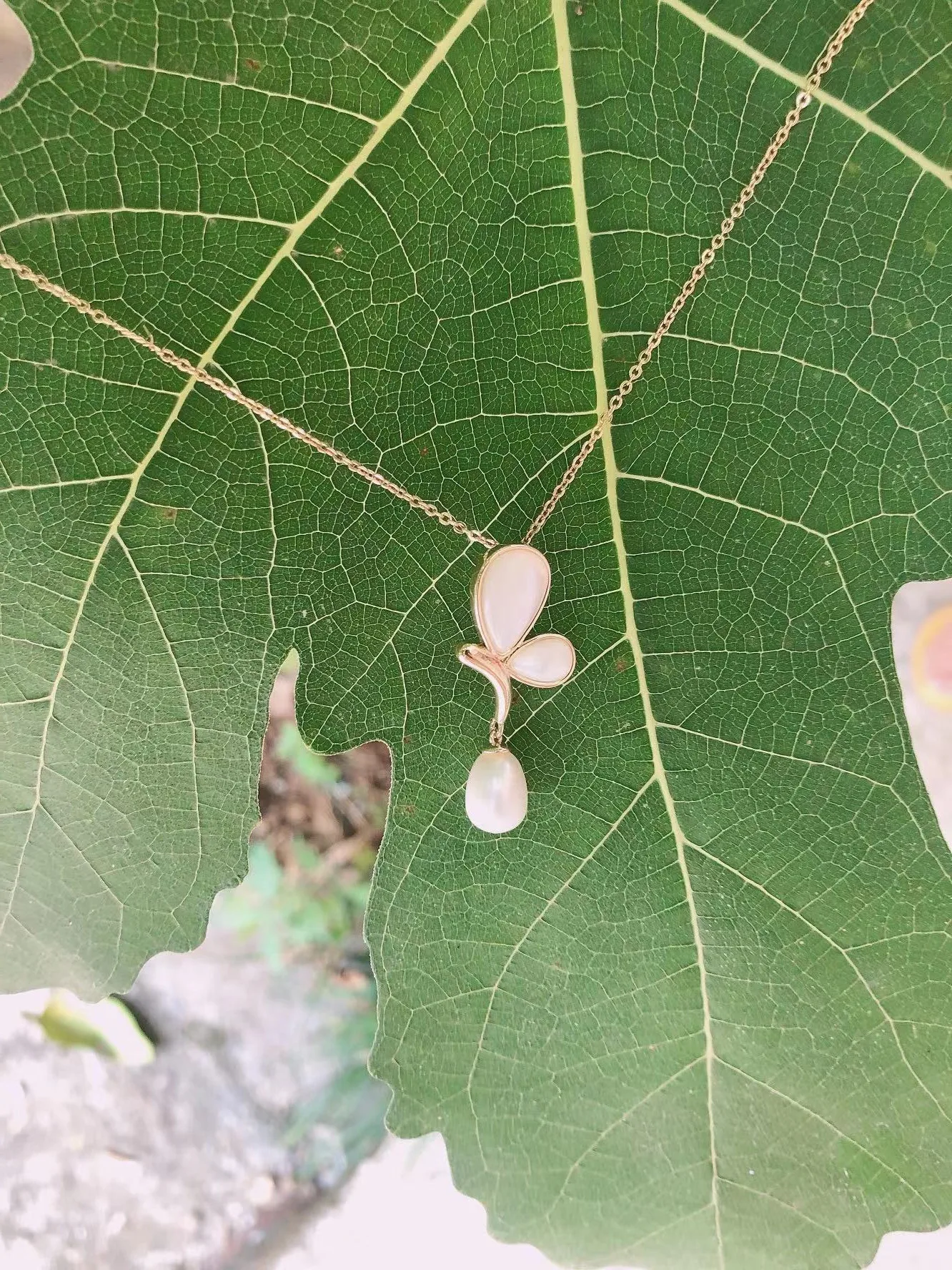 Collar de oro de 14 quilates con perla blanca, Gargantilla con concha madre Natural, cadena de latón, para uso diario, compras en la calle