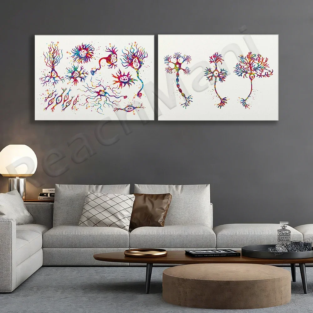 Neuron type watercolor motion pyramid Purkinje cells, medical cabinet Purkinje cells neurology brain anatomy scientific poster