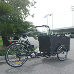 Vélo cargo familial à 3 roues pour adultes, assistance aux pédales, tricycle cargo à vendre