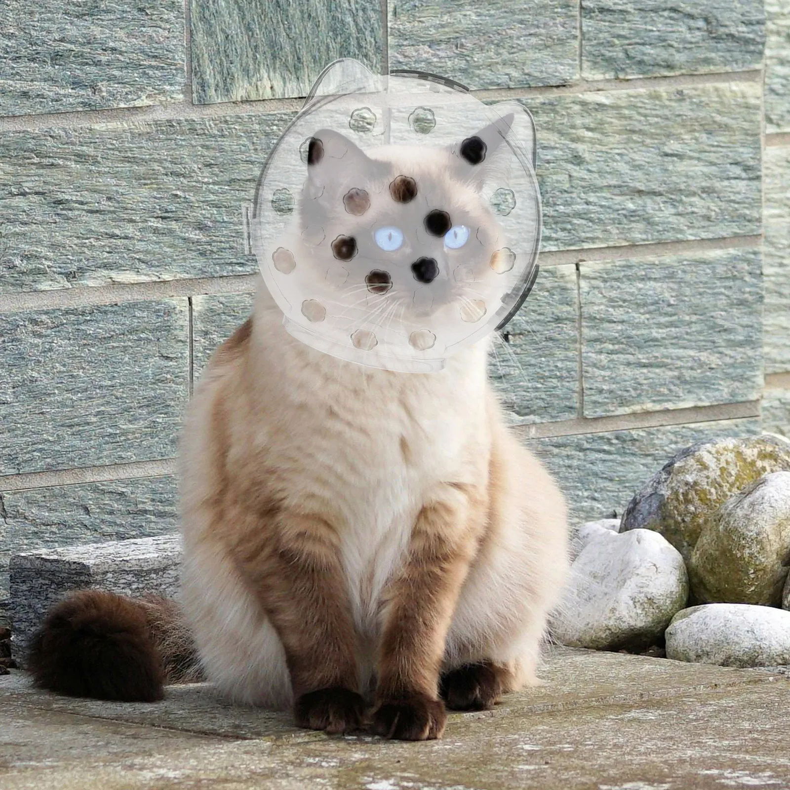 

Transparent Kitten Hood Anti Biting Large Size Recovery Supply Pet Grooming ABS Material Breathable Design