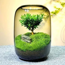 Creative Grey Glass Bottles Moss Landscaping Bottle Succulent Glass Vase Hydroponic Container Micro Landscape Glass Terrarium