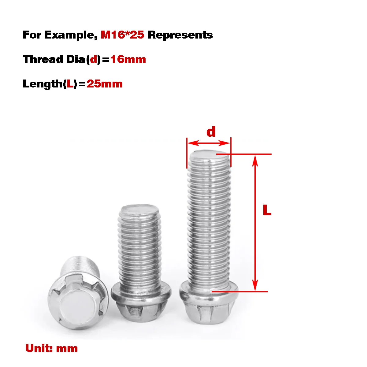 

304 Stainless Steel Anti-Theft Bolt / External Pentagonal Torx Head Screw M16