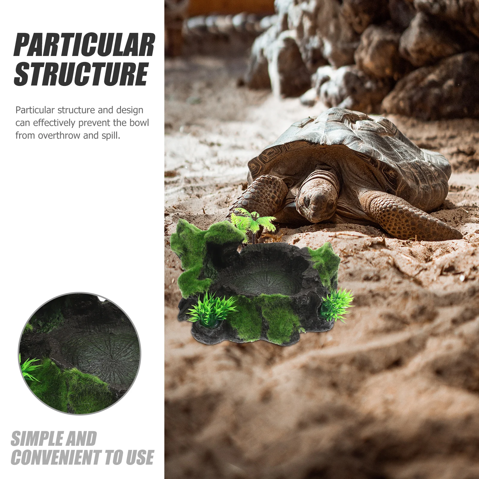 

Reptile Feeding Dish Pet Water Bowl Decorative Terrarium Accessory Durable Resin Material Safe Use Natural Design Reptile