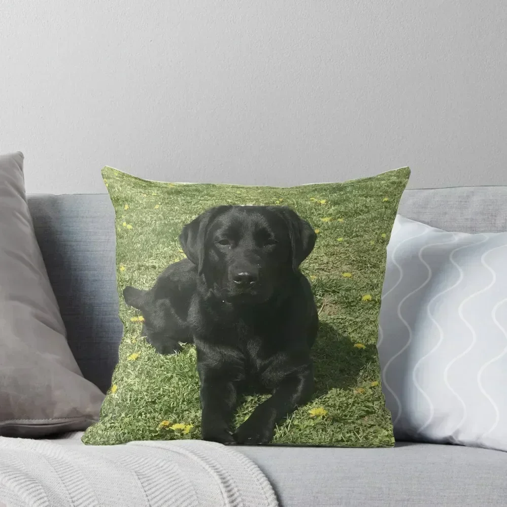 

Black Labrador Dog Throw Pillow Sofa Covers For Living Room Anime Cusions Cover pillow