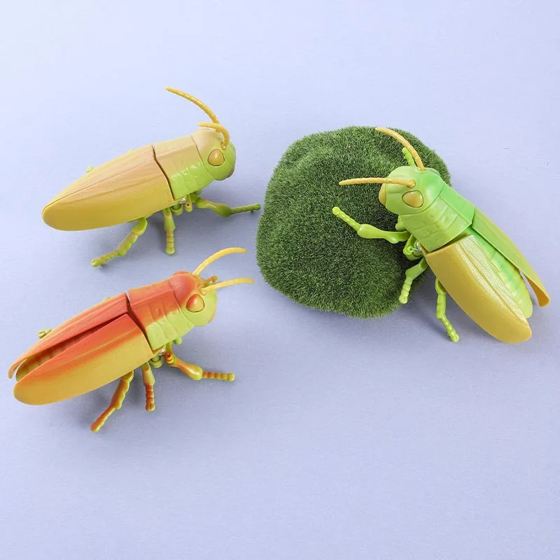 

Bionic Grasshopper Wind Up Beetle Toys Creative Prankster Animated Insect Toy Model Children's Plastic Animals Wind Up Toy Gifts