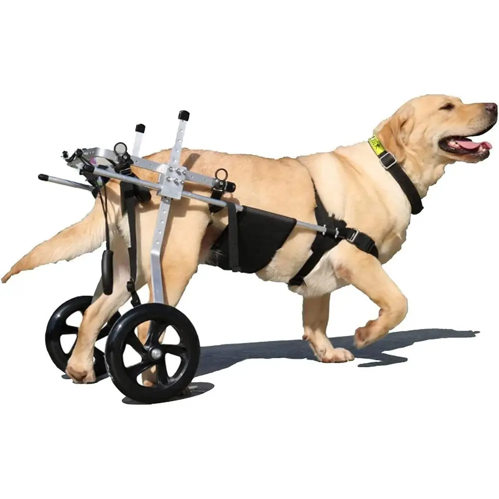 

Регулируемая коляска для домашних животных из нержавеющей стали для реабилитации ног кошек и собак