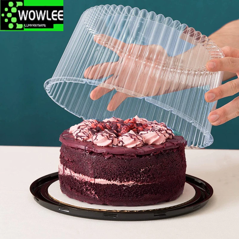 Transparent Plastic Cake Boxes and Packaging, Clear Cupcake, Muffin, Dome Holder Cases, Wedding, 8, 6 Inch, 10Pcs