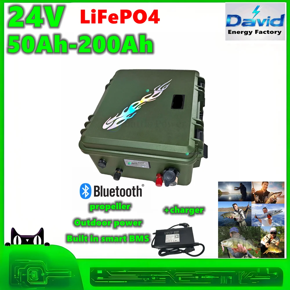 24V propeller Portable power 60Ah 80Ah 100Ah 120Ah 150Ah 200Ah waterproof Lifepo4 Battery With Bms For Trolling fishing boat